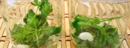 помидоры черри на зиму. Шаг 5