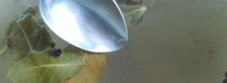 помидоры на зиму с лимонной кислотой. Шаг 4