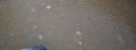 яблочное повидло. Шаг 2