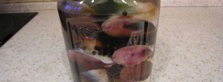 домашняя малосольная сельдь. Шаг 5