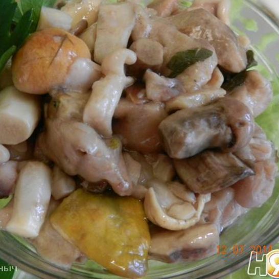 Рецепт грибов соленых домашних