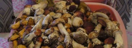 грибы соленые домашние. Шаг 6