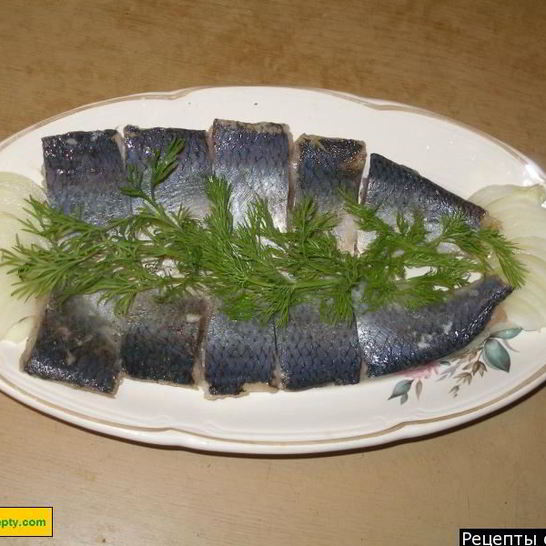 Рецепт малосольной селедки