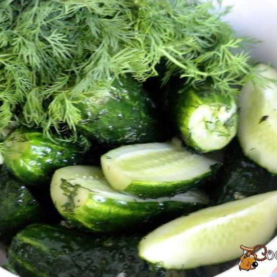 Рецепт малосольных огурчиков в пакете