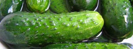 малосольные огурцы быстрой засолки. Шаг 2