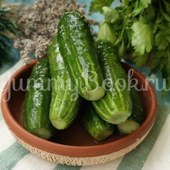 Рецепт малосольных огурцов на минеральной воде