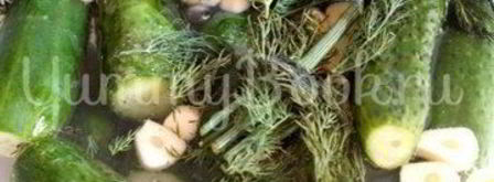 малосольные огурцы на минеральной воде. Шаг 4