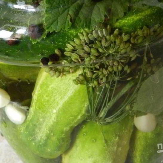 Рецепт малосольных огурцов на зиму