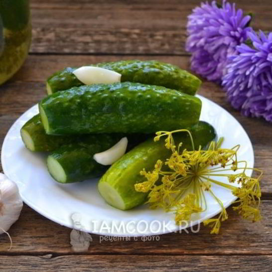 Рецепт малосольных огурцов с чесноком и укропом