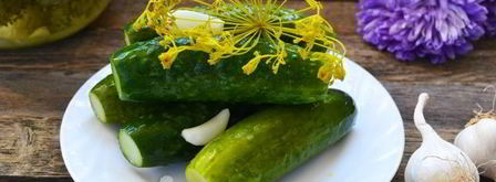 малосольные огурцы с чесноком и укропом. Шаг 16