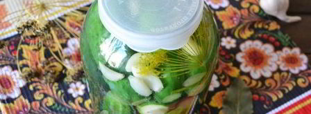 малосольные огурцы с чесноком и укропом. Шаг 11