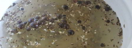 малосольные огурцы с молодой капустой. Шаг 5