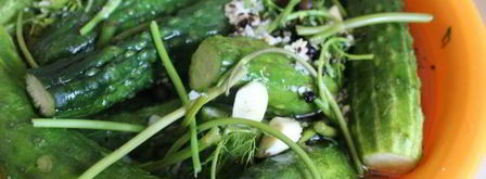 малосольные огурцы с молодой капустой. Шаг 6