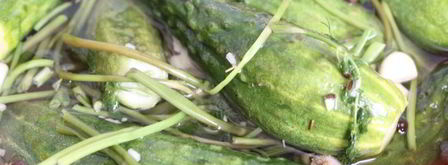 малосольные огурцы с молодой капустой. Шаг 8