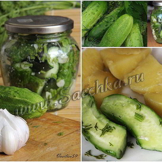 Рецепт малосольных огурцов в банке за 30 минут