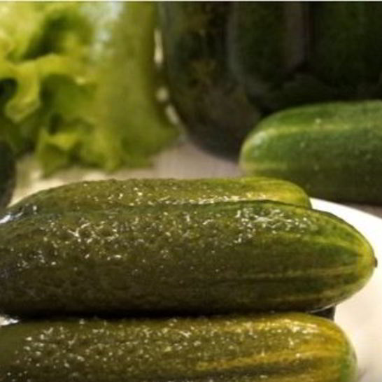 Рецепт малосольных огурцов в банке