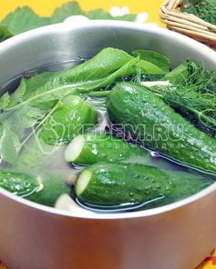 Малосольные огурцы в кастрюле