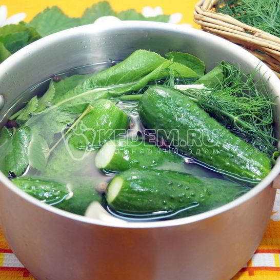 Рецепт малосольных огурцов в кастрюле