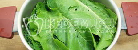 малосольные огурцы в кастрюле. Шаг 7