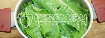 малосольные огурцы в кастрюле. Шаг 9