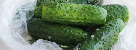 малосольные огурцы за час. Шаг 9