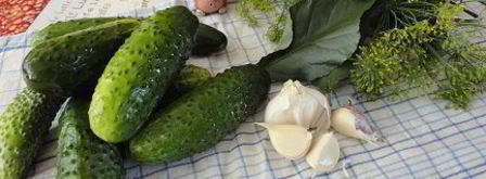 малосольные огурцы. Шаг 2