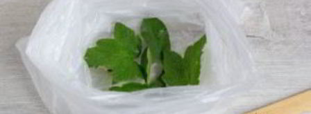 малосольные овощи в пакете. Шаг 2