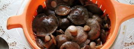 малосольные подберезовики. Шаг 8