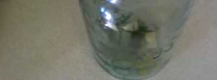 огурцы малосольные с эстрагоном. Шаг 6