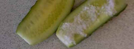 огурцы малосольные с эстрагоном. Шаг 11