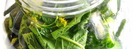 огурцы малосольные. Шаг 4