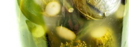 огурцы малосольные. Шаг 5