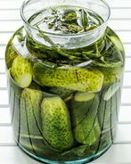 Острые малосольные огурцы