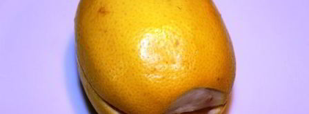 соленые лимоны по-мароккански. Шаг 3