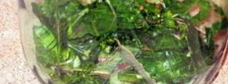 соленые помидоры. Шаг 3