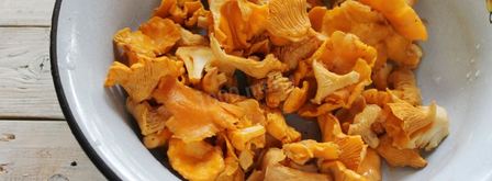 соленые лисички на зиму. Шаг 2