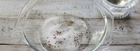 соленые лисички на зиму. Шаг 4