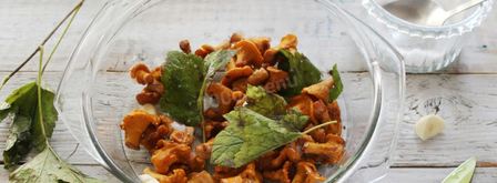 соленые лисички на зиму. Шаг 7