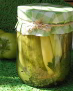 Соленые огурчики на зиму