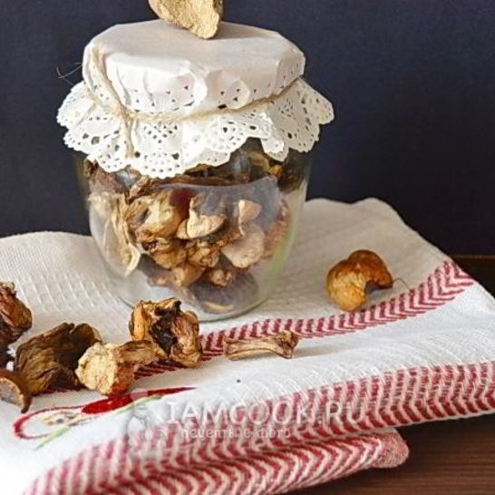 Рецепт сушеных белых грибов