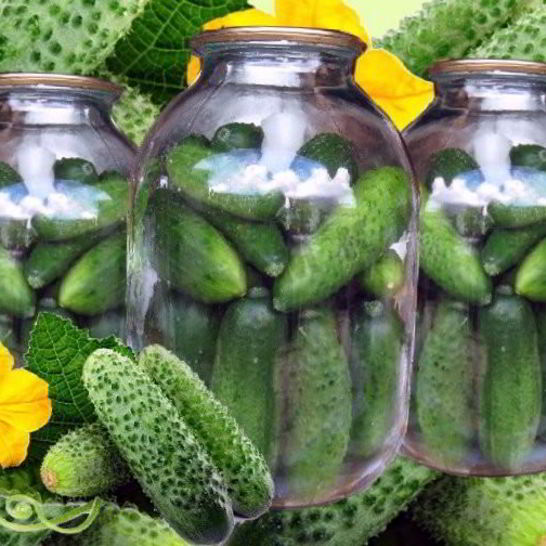 Рецепт свежих огурцов на зиму