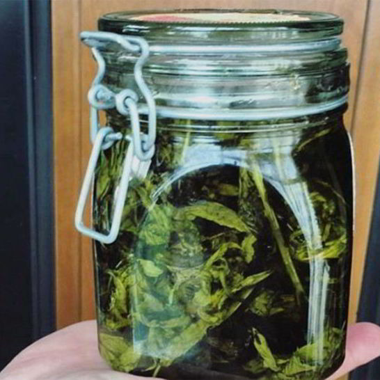 Рецепт мятного варенья