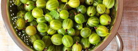 царское варенье из крыжовника. Шаг 2