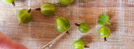 царское варенье из крыжовника. Шаг 3