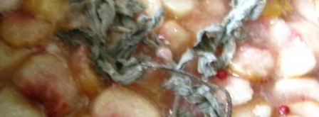 варенье из инжирного персика с лимоном и розовым перцем. Шаг 9