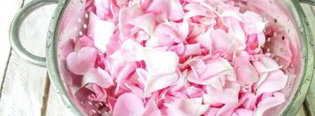 варенье из лепестков чайной розы без варки. Шаг 4