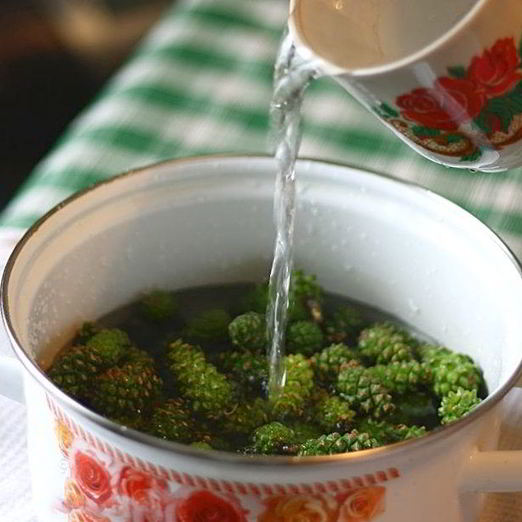 Варенье из сосновых почек