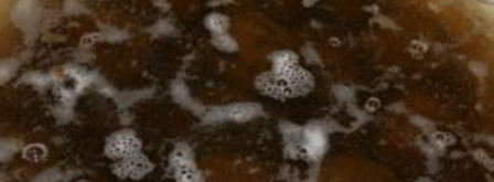 варенье из зеленых грецких орехов. Шаг 4