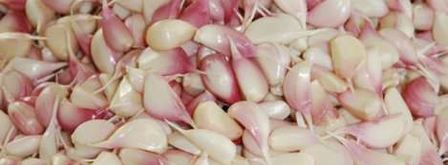 заготовка чеснока на зиму. Шаг 6