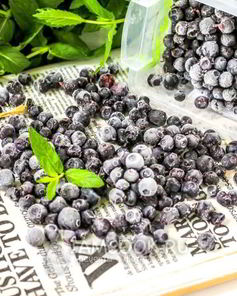 Заморозка черники на зиму
